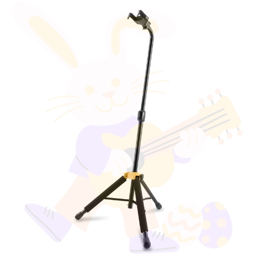 Guitar Cases and Stands